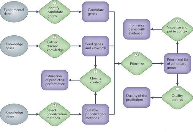 A Gene prioritization