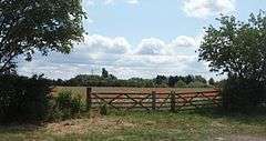 Cornfield, behind hedgerow and two wooden 5-bar gates. The wheat is suffused with poppies. The picture is framed by tall tees in the hedgerow on either side of the gate, and woodland beyond the field. A blue sky dotted with fluffy white clouds looks over everything.