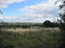 Horses grazing in Glebe Lane Pastures