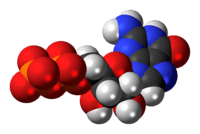 Space-filling model of the guanosine diphosphate anion