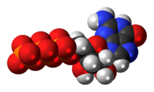 Space-filling model of the guanosine triphosphate anion