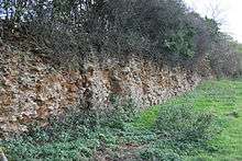 Face of Hiatt's Pit ironstone quarry.