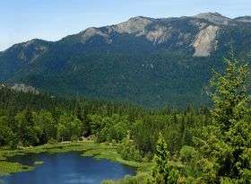 Howard Lake and forested mountains.