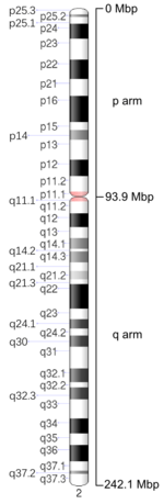 Map of Chromosome 2