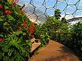 Humid Biome Interior - geograph.org.uk - 219395.jpg