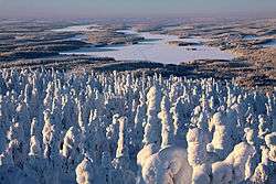 Iijärvi from Iivaara in winter