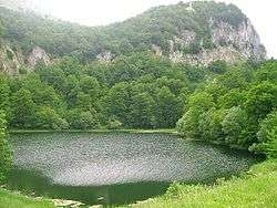 A rippling lake surrounded by forestry