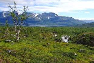 A hilly, green landscape with a grey tree growing on the left, snow-capped mountains in the background, and a blue sky above with white clouds.