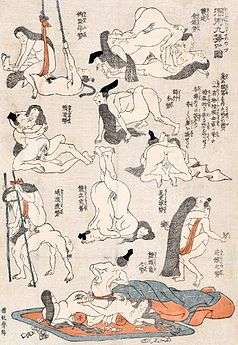 Illustrations of various sex positions