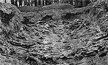 A mass grave, with multiple corpses visible