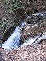 A small waterfall surrounded by bushes, rocks and leaf-strewn ground.