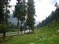 Kumrat Dir Kohistan KPK Pakistan.jpg