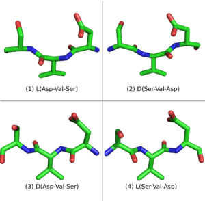 A fragment sequence and its analogues.