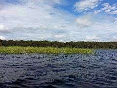 Lake Pithlachocco Canoe Site