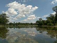 Low clouds hang in a blue sky over a lake surrounded by trees and filled with aquatic plant life. Several skyscrapers stand in the distance.