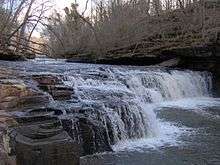 Little Duck River falling over step falls