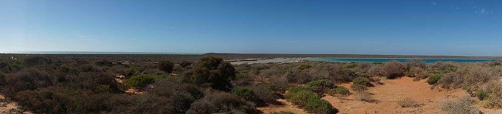 Little Lagoon on the north edge of Denham