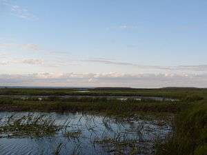 The marshes of Long Point, as seen from the Provincial Park.