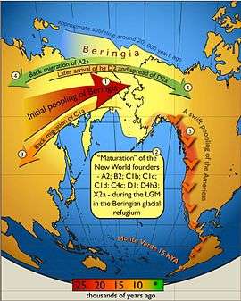 Schematic illustration of maternal geneflow in and out of Beringia. Colours of the arrows correspond to approximate timing of the events and are decoded in the coloured time-bar. The initial peopling of Berinigia (depicted in light yellow) was followed by a standstill. After this, the ancestors of indigenous Americans spread swiftly all over the New World while some of the Beringian maternal lineages–C1a-spread westwards. More recent (shown in green) genetic exchange is manifested by back-migration of A2a into Siberia, and the spread of D2a into north-eastern America that post-dated the initial peopling of the New World.