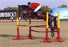 A dark brown horse ridden by a man in a red jacket and white pants, in mid-air over a jump