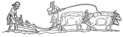 A monochrome, profile illustration of four oxen dragging a plough through a field. The ploughman walks behind, controlling the plough, while his colleague stands to his side, holding a long whip in the air.