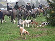 Fox hounds and huntsmen on horseback on a village green