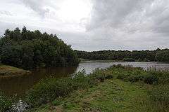 A lake, with heavily wooded shores.