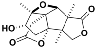 Skeletal structure of merrilactone A