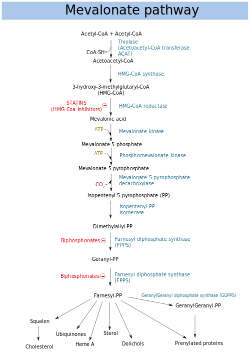 Chemical flow chart