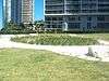 Brickell Point Site