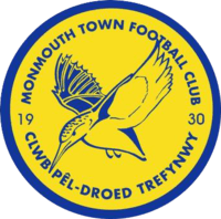 This is the Monmouth Town F.C. crest. The name of the club in English, "Monmouth Town Football Club", is on the top of the circle, an image of the Kingfisher in the middle with the numbers 19 and 30 on either side of the bird. The name of the club in Welsh, "Clwb Pêl-Droed Trefynwy", adorns the bottom of the circle.