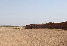 shepherd leaving his sheep outside of Marrakech, Morocco