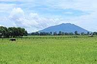 Mount Arayat National Park