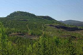 A small hill covered with trees rising over the surrounding landscape