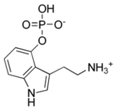 Skeletal formula of norbaeocystin as a zwitterion