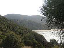 Forested coastal mountains.