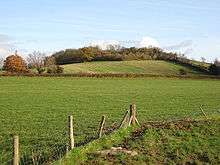 A tree covered hill of the horizon