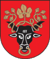 A coat of arms depicting the black head of a bull with a golden vine entangled in its black horns and a golden ring protruding from its nose