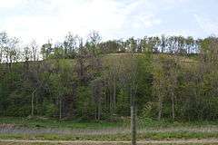 Francis Farm Petroglyphs Site (36FA35)