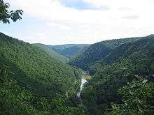 A creek in a long deep gorge between green wooded mountains under a partly cloudy sky