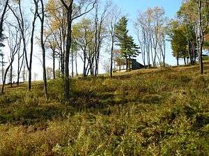 View from the bottom of a sparsely-wooded, inclined fielded in early autumn with a building overlooking the valley visible at the top.