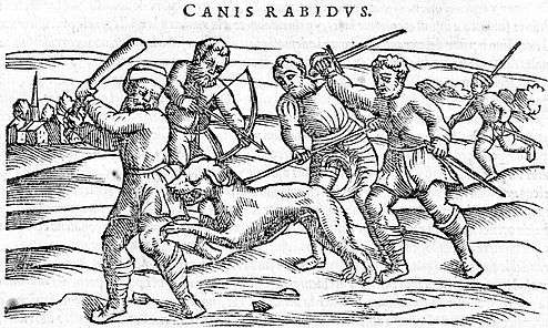 Illustration shows a group of men attempting to kill a rabid dog. The men are using various weapons including a club, bow and arrow, and a sword. The dog is biting the leg of the man on the far left.