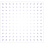 Dense vector field representation.