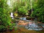 A photo of a waterfall along the Raven Cliffs Trail.