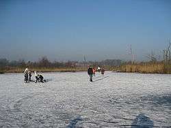 Regte Heide in winter, with Riel in the background