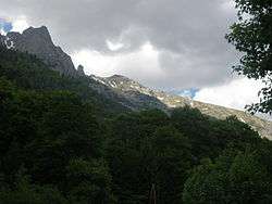 a forested mountain