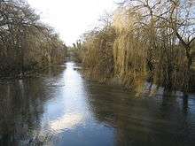 River Colne in Uxbridge Moor