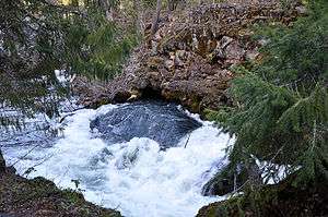 Water exiting a hole in a riverbank forms a smooth rounded mound surrounded by churning rapids. Evergreen trees hang over the water.