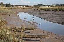 Upper Colne Marshes