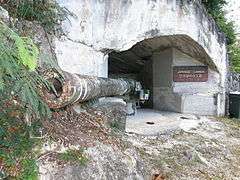 Japanese Coastal Defense Gun